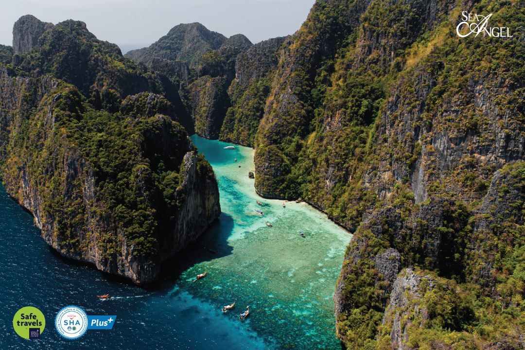 ทัวร์ เกาะ พี พี อ่าว มา ห ยา ทัวร์เกาะพีพี จากภูเก็ต